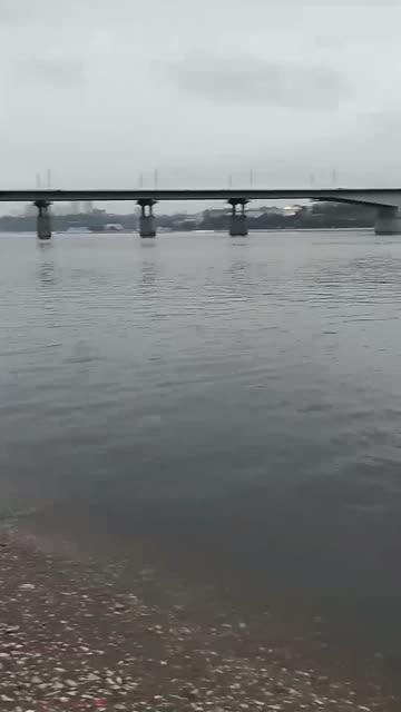 Пермский край